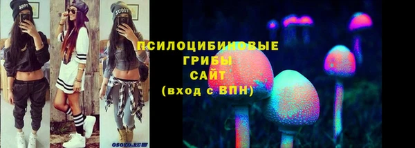 первитин Алексеевка