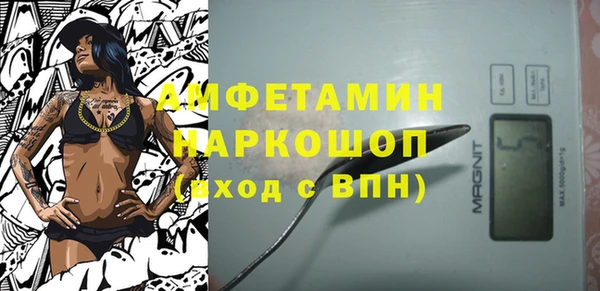 ешки Алексин