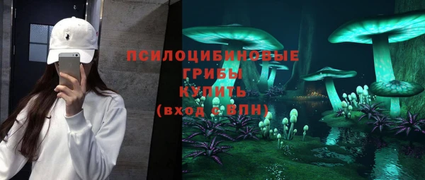 твердый Дмитриев