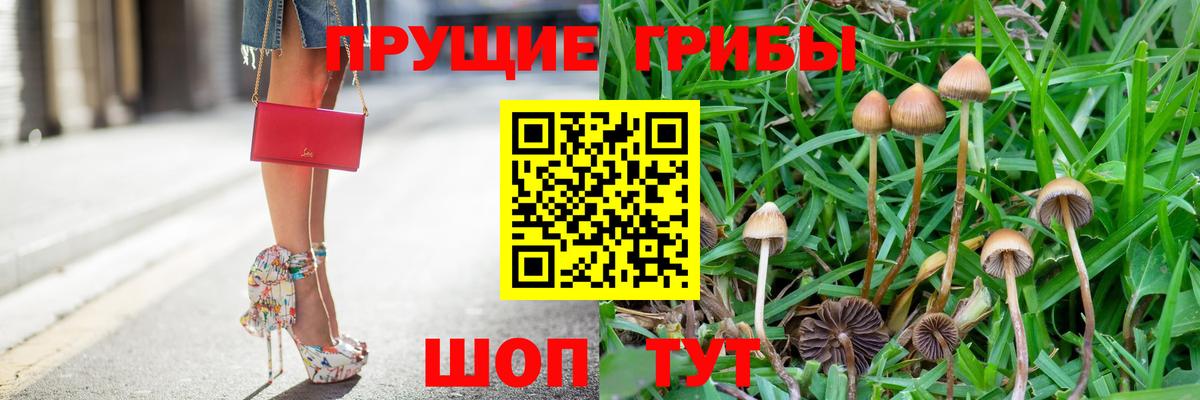 Камышин  Галлюциногенные грибы Magic Shrooms  хочу   Вход с VPN 