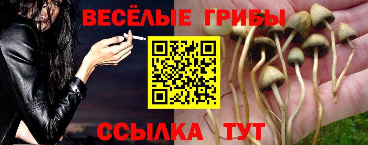 Галлюциногенные грибы мицелий Камышин