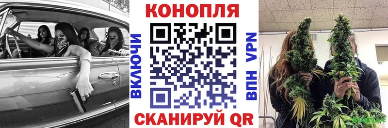 Канабис сатива  блэк спрут ссылки  Камышин 