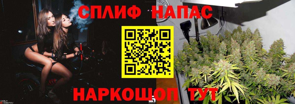 Бошки Шишки White Widow Камышин